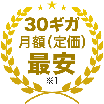 30ギガ月額(定額)最安